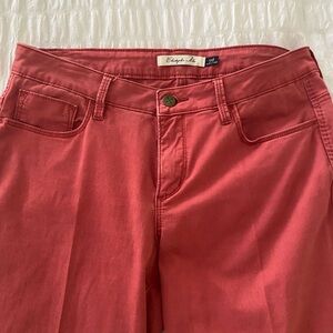Elizabeth and James Women's Flare Red Jeans